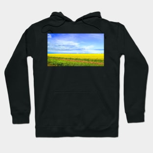 Canola Field Blooming photography Hoodie